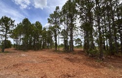 18121 NW 304TH STREET, OKEECHOBEE, FL 34972