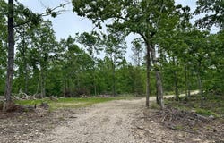 000 County Road 320, Ellington, MO 63638