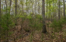 TURKEYSAG TRL, PALMYRA, VA 22963