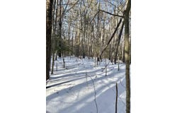Lot 80-1 Currier Road, Candia, NH 03034