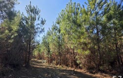 0 Chipola Rd, Slocomb, AL 36375