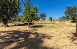 1557 La Grande Vue, Paradise, CA 95969