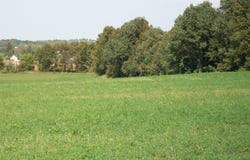 Lt1 Wilson Dr, Allenton, WI 53002