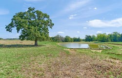 205 Farm to Market Road 373 North, Saint Jo, TX 76265