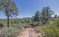2500 E FEATHER PLUME Lane, Payson, AZ 85541