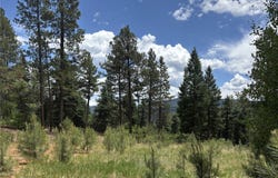 Tbd SPRUCE TRAIL LOT 3, Chama, NM 87520