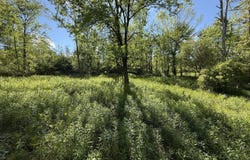 383 Ferndale Loomis Road, Liberty, NY 12754