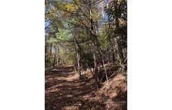 W Seventy Sixth Drive, West Jefferson, NC 28694