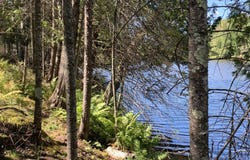 100' Ftg CLOVERLAND DR, Eagle River, WI 54521