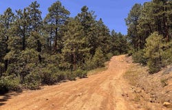 TBD Unit 3 Forest Lakes, Bayfield, CO 81122