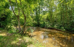 95 ROGERS, Savannah, TN 38372