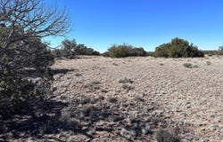 004q N N7204, St. Johns, AZ 85936