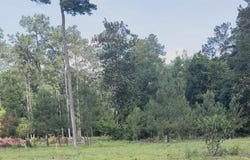 4914 Old Federal Road, Quincy, FL 32351