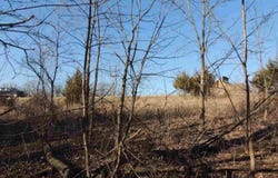 9 Cedar Rim Trail, GALENA, IL 61036