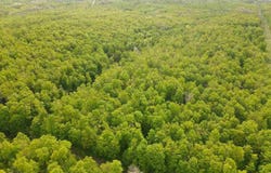 3208 PLEASANT VALLEY, BOYNE CITY, MI 49712