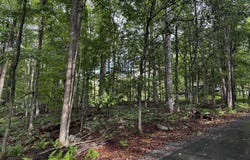 103 Elm Lane, Greentown, PA 18426