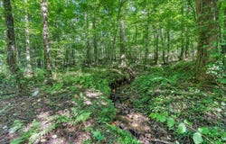 414 Twin Mountain Lake Circle, Talking Rock, GA 30175