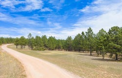 TBD W Argyle Road, Custer, SD 57730