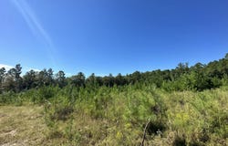 Parcel B Millside Road, Laurel Hill, FL 32567