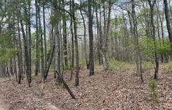 0 Edgemond Drive, Hartshorn, MO 65479