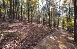 0 LOWER ARKANSAS ROAD, BAKER, WV 26801