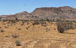 5 Del Oro Road, Apple Valley, CA 92308