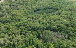 22751 County Road 1, Emily, MN 56447