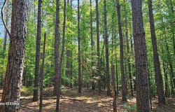 12-15S-20W Columbia Rd #111, Stephens, AR 71764