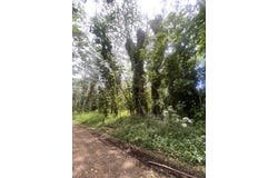 HILO RD, Pahoa, HI 96778