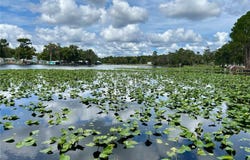 1638 PARADISE Lane, ASTOR, FL 32102