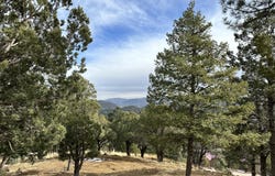 104 Middle Fork lot: 44A, Ruidoso, NM 88345