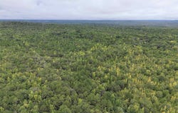 SCROGGINS DRIVE lot: 0, TALLASSEE, AL 36078