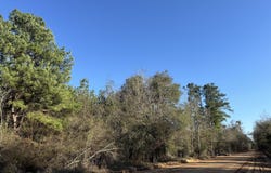 003 Sealy Wells, Gordon, AL 36343