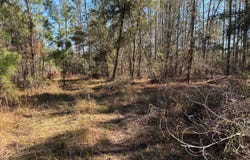 005 Brushy Hammock, Mayo, FL 32066