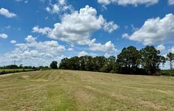 0000 Dewitt Lane, Other, LA 70427