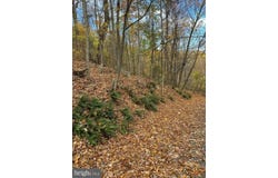 WOODLANDS DRIVE, FLINT HILL, VA 22627