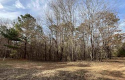 Tract 5 Venus Rd, White Oak, TX 75693