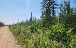 80 acres CR 415, McMillan, MI 49853