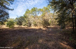 BLAZING STAR Road, Melrose, FL 32666