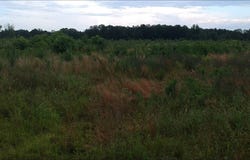 0 Hammond Rd, Jayess, MS 39654