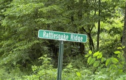 Tbd Rattlesnake Ridge Lot 19 & 31, Butler, TN 37640