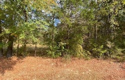 00 N Lily and Hwy 60 Highway, Houston, AR 72070