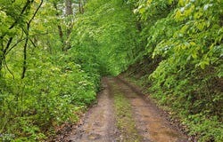 201 Birch Hollow Rd, Maynardville, TN 37807