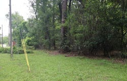 703 Parrish, Sparks, GA 31647