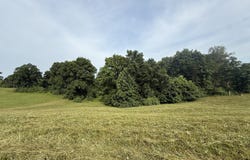 121 Tatum Point Drive, Somerset, KY 42503