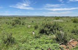 Tbd County Road 343, Merkel, TX 79536
