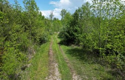 9999 Cam Court, Lily, KY 40740