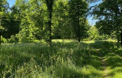 Benzel Court, Hastings, MI 49058