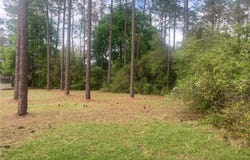 SE 19TH PLACE, SILVER SPRINGS, FL 34488