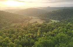 597 Lost Hollow RD, Monticello, KY 42633